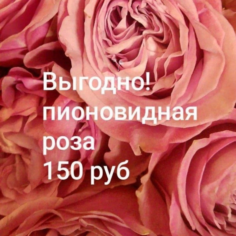 Ищете идеальный подарок, который скажет всё без слов? 🌹