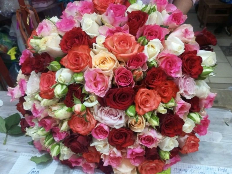 🌹 Специальное предложение! 🌹
