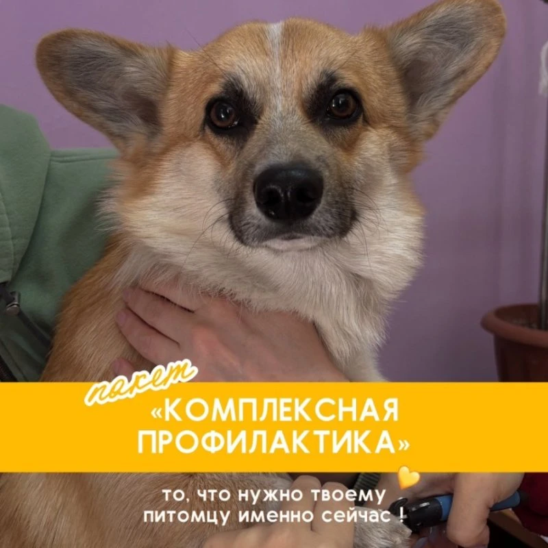 ЗВЕРАША напоминает!