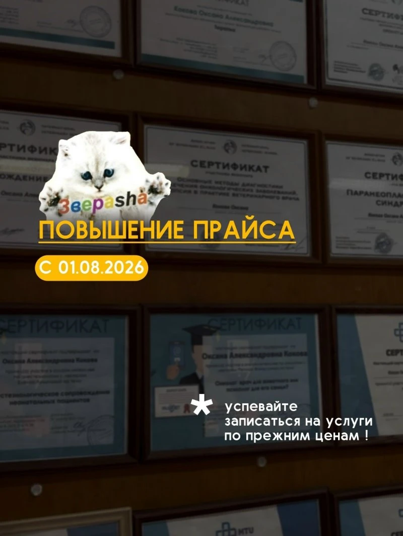 ЗВЕРАША уведомляет!